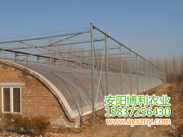 温室大棚34