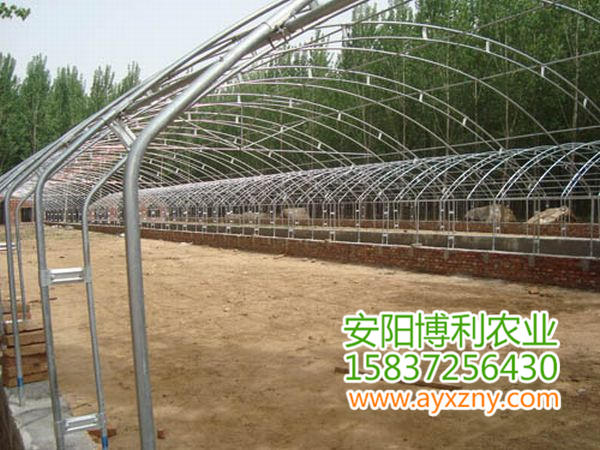 养殖大棚24