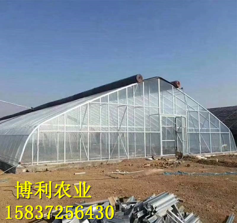 温室大棚2
