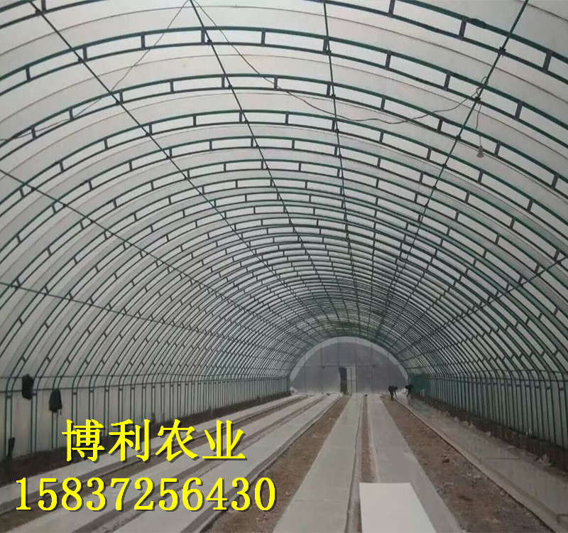 养殖大棚30