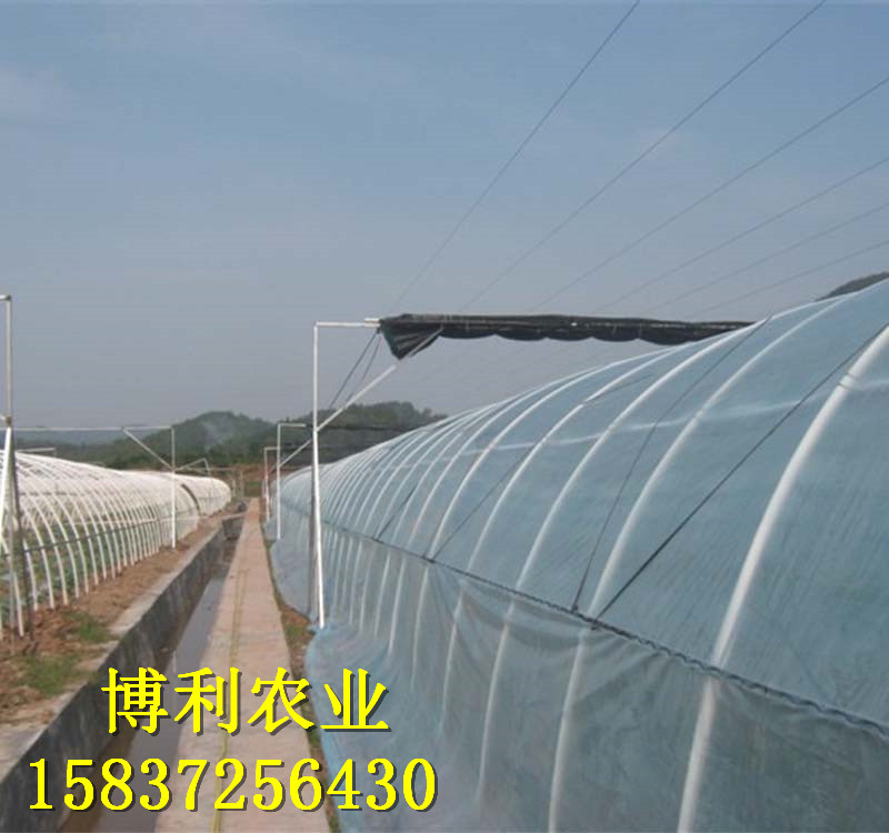 菌类大棚13