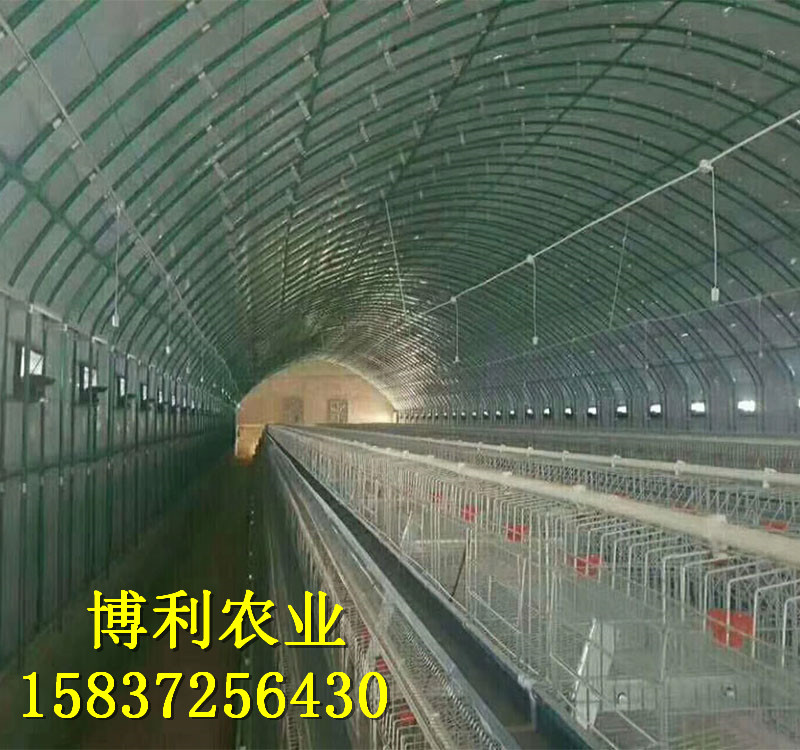 镀塑大棚12
